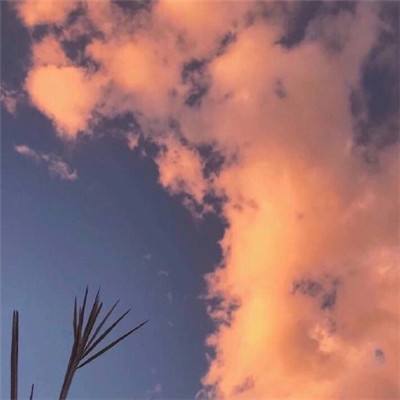望流火测试版本(暂未上线)v1.0 安卓最新版