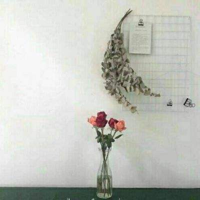猎鱼达人h5内购破解版下载